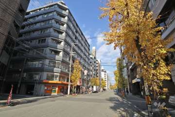 敷地東側の前面道路