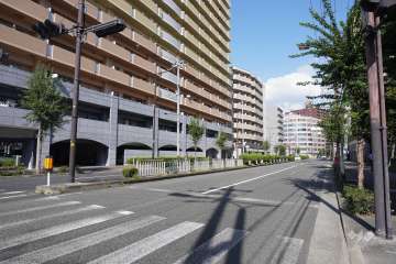 敷地南側の前面道路(西側から)