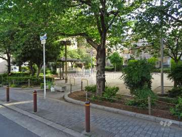 敷地の北側道路向かいには公園があります。