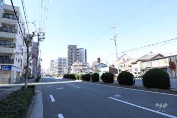 敷地北側の前面道路。片道二車線の「淀川通」です。