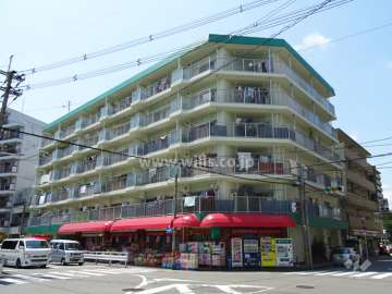 グリーンコーポ西中島の外観（南東側から）