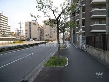 敷地北側の前面道路（西側から）