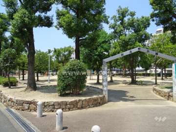 敷地の周辺には大きな公園があります。