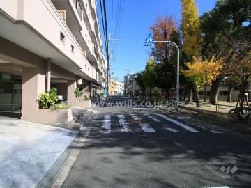敷地南側の前面道路（西側から）