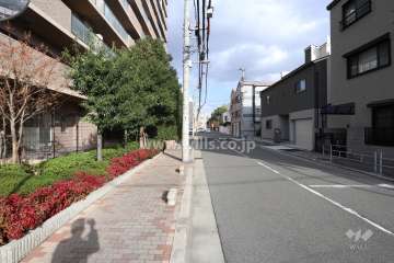 敷地南西側の前面道路（歩道が整備されています）