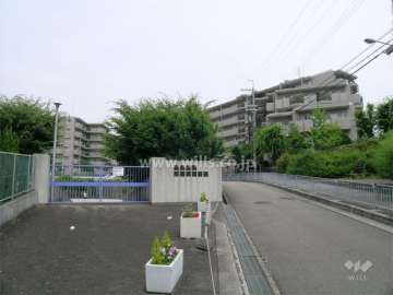 敷地のすぐ北側には『第十七中学校』があります