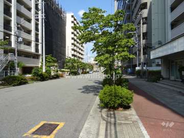北側前面道路(西側から)