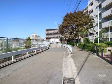 西側前面道路(南側から)