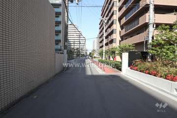 敷地の西側前面道路（南側から）