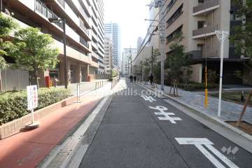 敷地の西側前面道路（北側から）