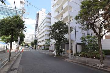 敷地北側の前面道路