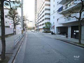 敷地北側の前面道路（西側から）