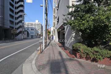 敷地の西側前面道路（南側から）