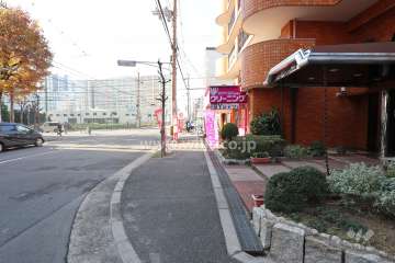 敷地の南側前面道路（東側から）
