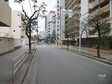敷地北側の前面道路（西側から）