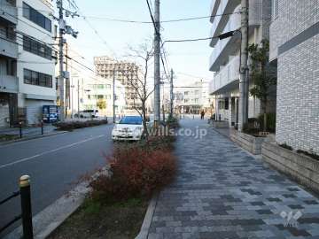 敷地西側の前面道路（南側から）