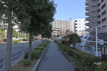 敷地北側の前面道路（西方向から）