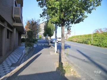 敷地北側の前面道路（東側から）