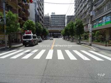 敷地南側の前面道路