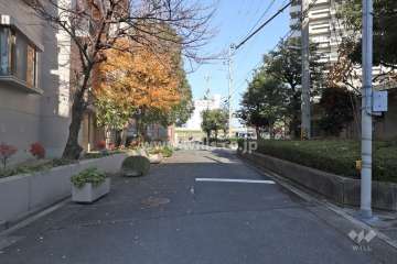 敷地の東側前面道路（南側から）