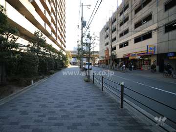 敷地南側の前面道路（西側から）
