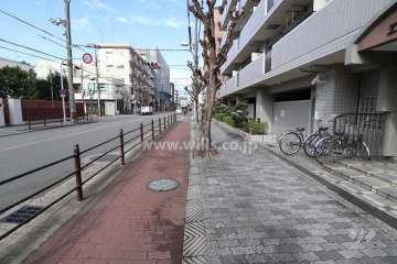 敷地の前面道路