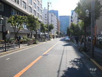 敷地南側の前面道路（西側から）