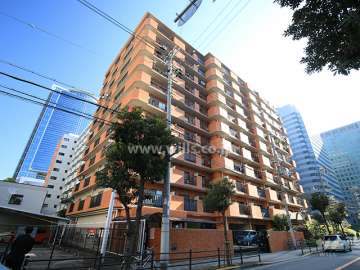 ロイヤルハイツ新大阪の外観（南西側から）