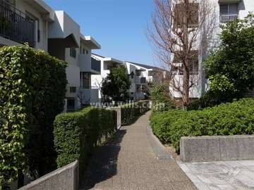 33号棟南側の通路