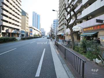 敷地北側の前面道路（西側から）