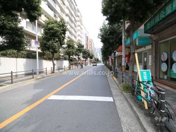 敷地北側の前面道路（西側から）