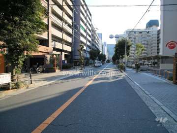 敷地南側の前面道路（西側から）
