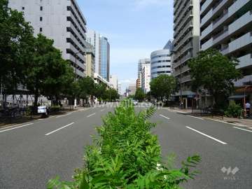 敷地北側の前面道路（4車線のバス通り）