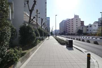 敷地の西側前面道路（北側から）