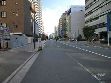 敷地南側の前面道路（西側から）