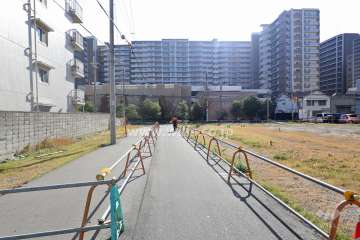 敷地の西側前面道路（北側から）
