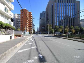 敷地南側の前面道路（西側から）