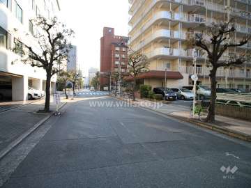 敷地北側の前面道路（西側から）
