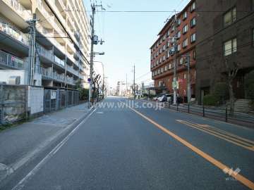 敷地東側の前面道路（南側から）