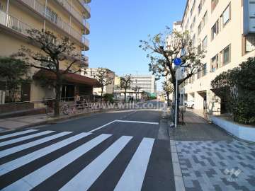 敷地北側の前面道路（東側から）