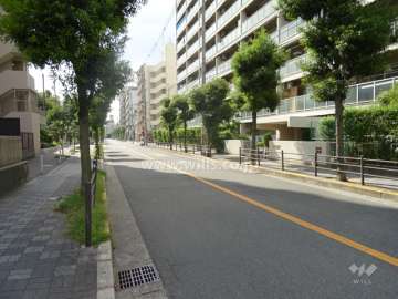 敷地南側の前面道路