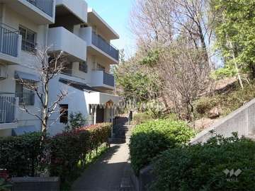 ３６号棟の北側は緑地に面しています。