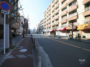 敷地東側の前面道路（北側から）