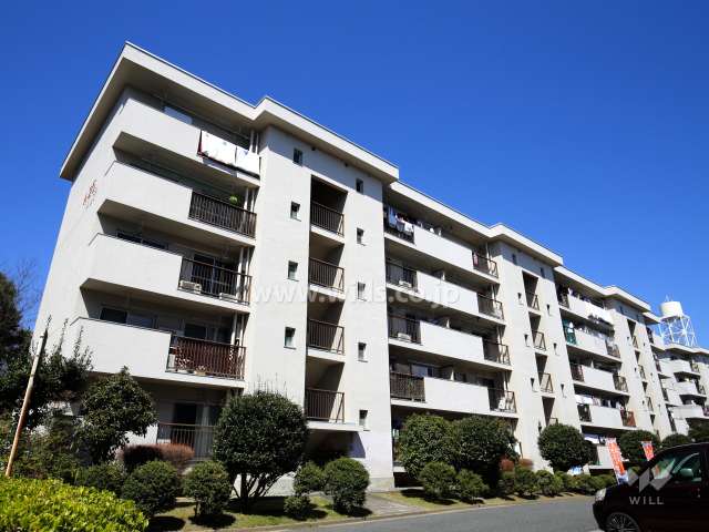 茨木郡山A住宅A25棟（南側から）