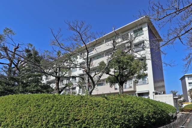 中央台団地222号棟の外観（南側から）