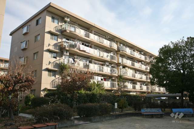サンハイツ鍋屋上野3号棟の外観(南側から)