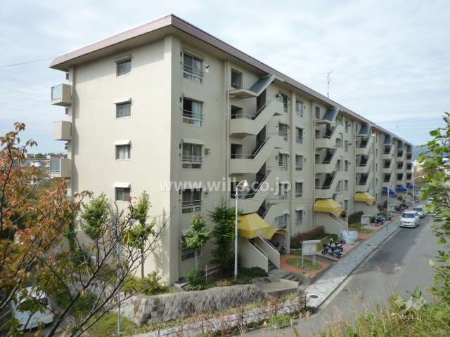 建物の南東側を撮影