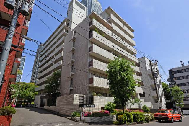 ニューハイツ芝公園の外観（南側から）