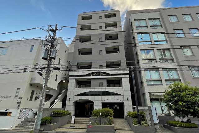 ダイアパレス赤坂の外観（南東側から）