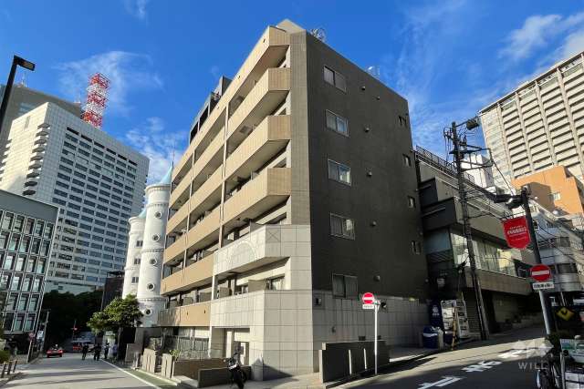 パレステュディオ赤坂の外観（南西側から）